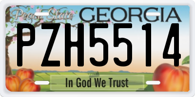 GA license plate PZH5514