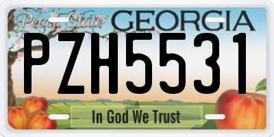 GA license plate PZH5531