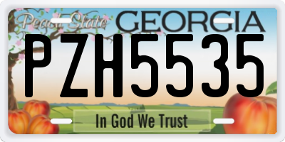 GA license plate PZH5535