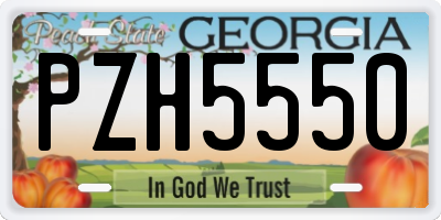 GA license plate PZH5550