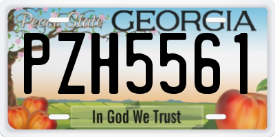 GA license plate PZH5561