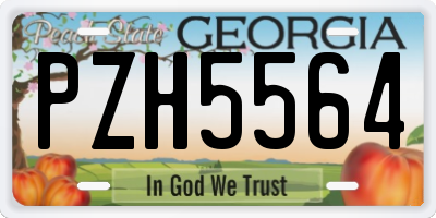 GA license plate PZH5564