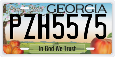 GA license plate PZH5575