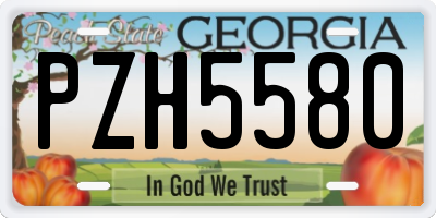 GA license plate PZH5580