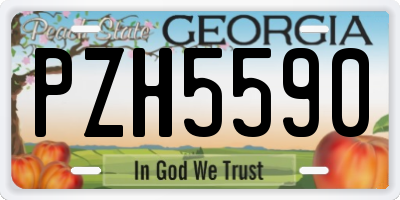 GA license plate PZH5590