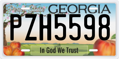 GA license plate PZH5598