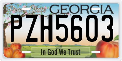 GA license plate PZH5603