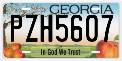 GA license plate PZH5607