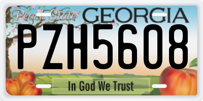 GA license plate PZH5608
