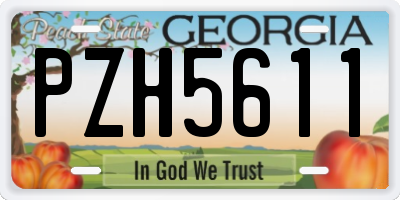 GA license plate PZH5611