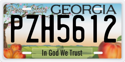 GA license plate PZH5612