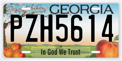 GA license plate PZH5614