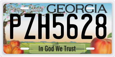 GA license plate PZH5628