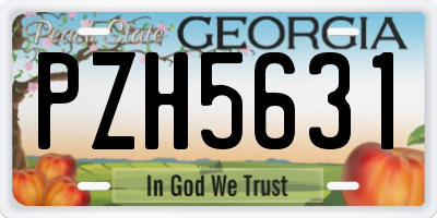 GA license plate PZH5631