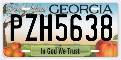 GA license plate PZH5638