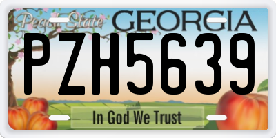 GA license plate PZH5639