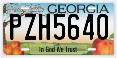 GA license plate PZH5640