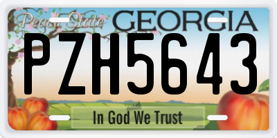 GA license plate PZH5643