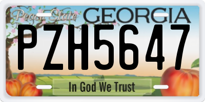 GA license plate PZH5647