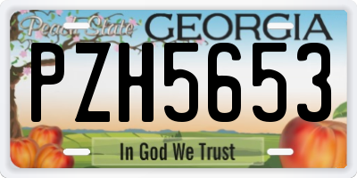 GA license plate PZH5653