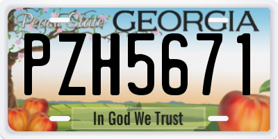 GA license plate PZH5671