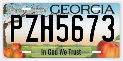 GA license plate PZH5673