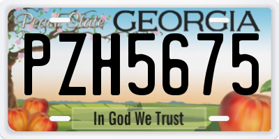GA license plate PZH5675
