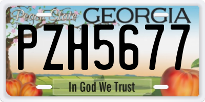 GA license plate PZH5677