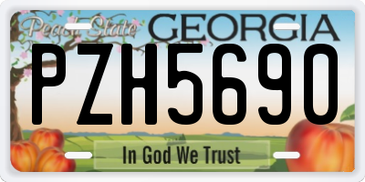 GA license plate PZH5690