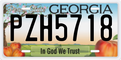 GA license plate PZH5718