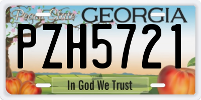 GA license plate PZH5721