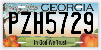 GA license plate PZH5729