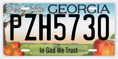 GA license plate PZH5730