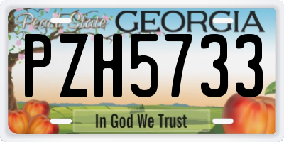GA license plate PZH5733