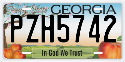GA license plate PZH5742