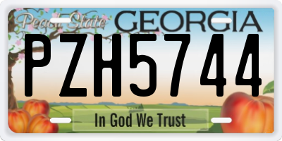 GA license plate PZH5744