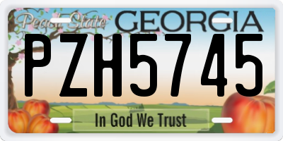 GA license plate PZH5745
