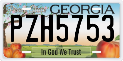 GA license plate PZH5753
