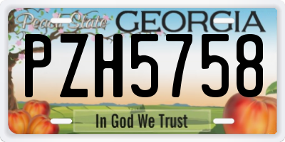 GA license plate PZH5758