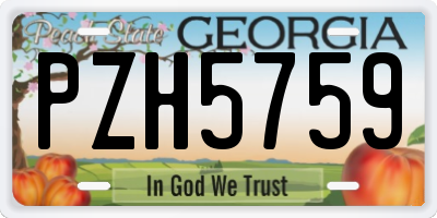 GA license plate PZH5759
