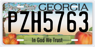 GA license plate PZH5763