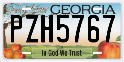 GA license plate PZH5767