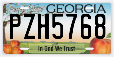 GA license plate PZH5768