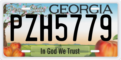 GA license plate PZH5779