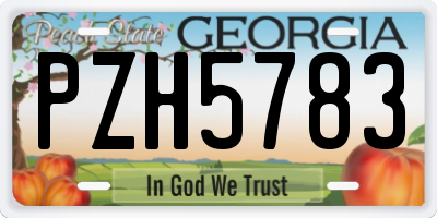 GA license plate PZH5783