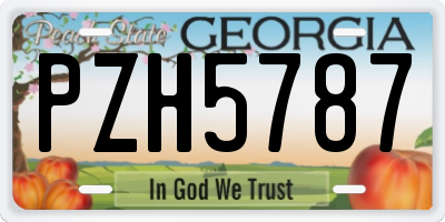 GA license plate PZH5787