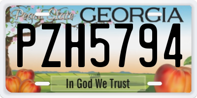 GA license plate PZH5794