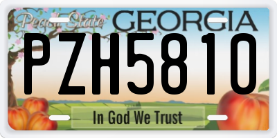 GA license plate PZH5810