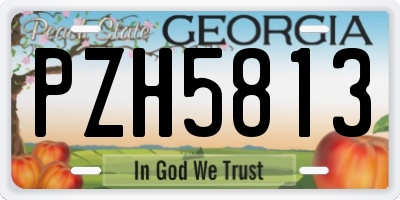 GA license plate PZH5813