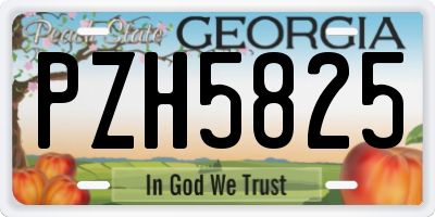 GA license plate PZH5825